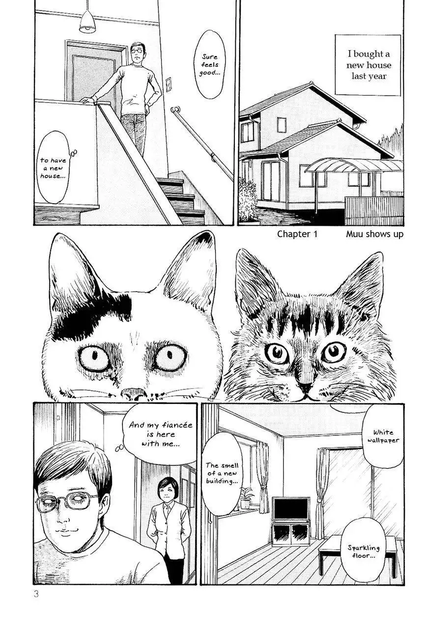 Ito Junji's Cat Diary Chapter 1 7